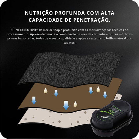 SHINE EXECUTIVO™ – O Brilho Instantâneo dos Homens de Sucesso.